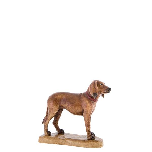 Jagdhund