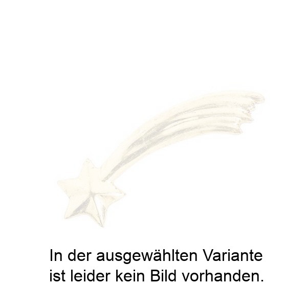 Kometstern Kometstern