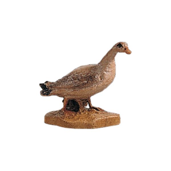 Ente weiß Ente weiß