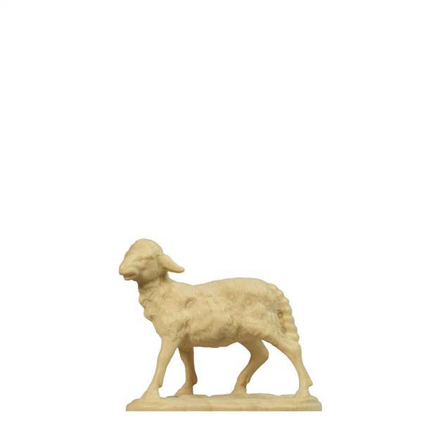 Schaf stehend Schaf stehend