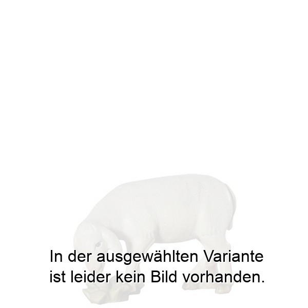 Schaf stehend Schaf stehend