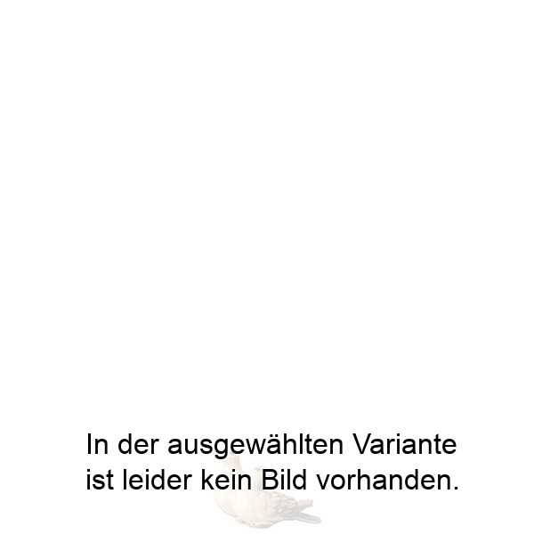 Taubenpaar