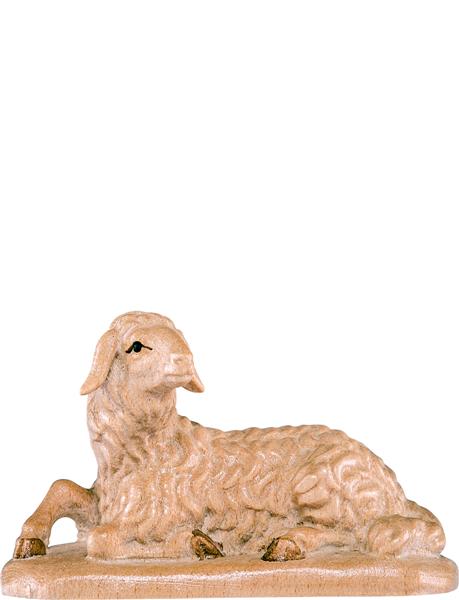 Schaf liegend Schaf liegend