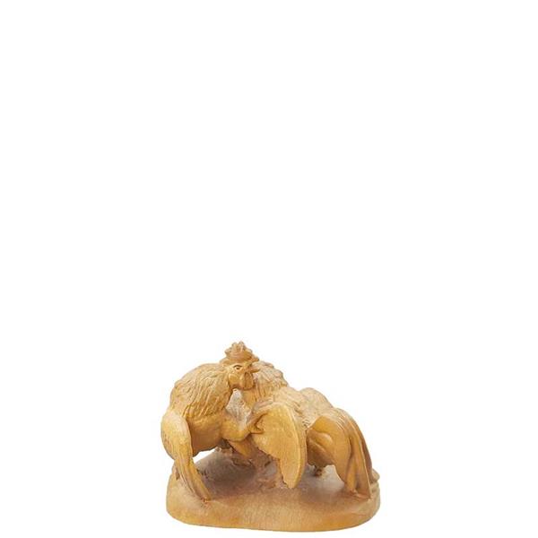 Streitende Hähne Streitende Hähne