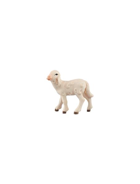 LI Lamm linksschauend