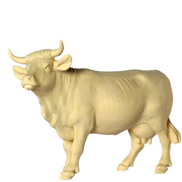 Kuh - Kopf oben grau Kuh - Kopf oben grau