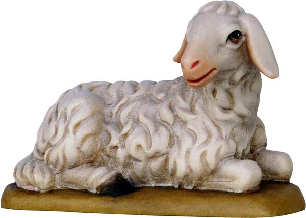 Schaf liegend Schaf liegend