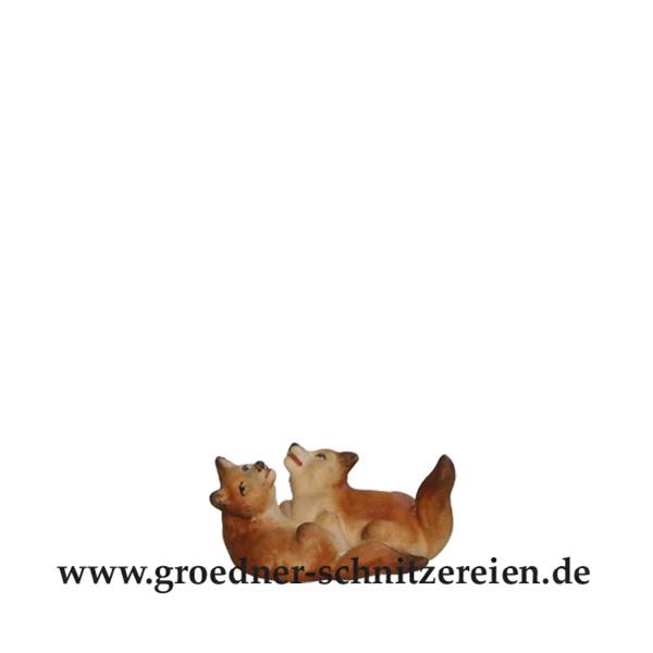 Fuchswelpenpaar spielend Fuchswelpenpaar spielend