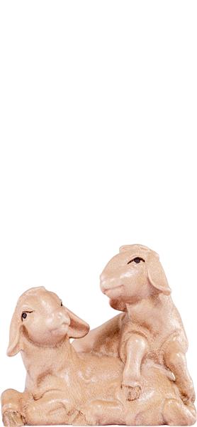 Lammgruppe Artis Lammgruppe Artis