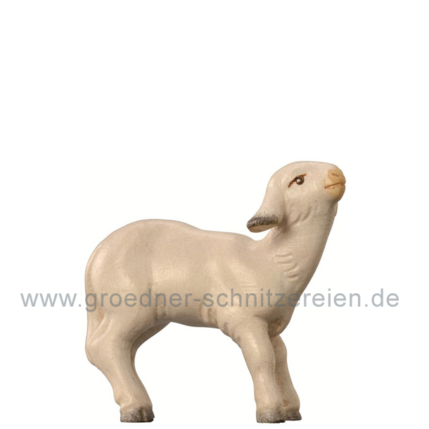 Lamm modern Lamm modern