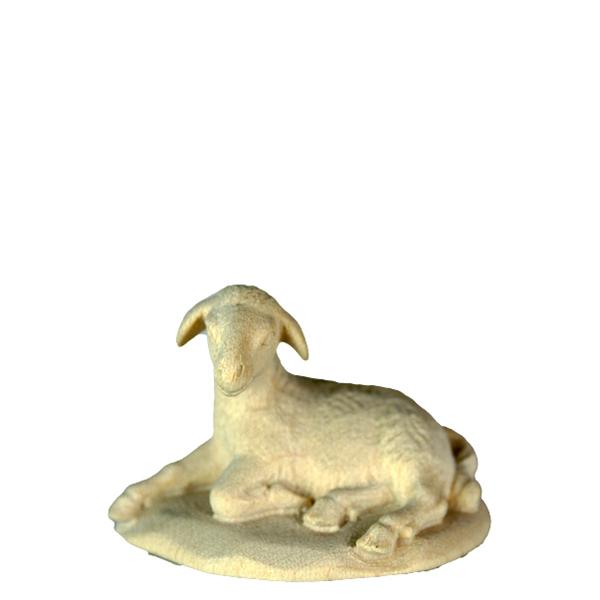 Schaf liegend Schaf liegend