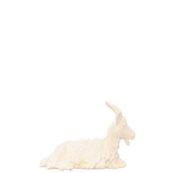 Ziege liegend Ziege liegend