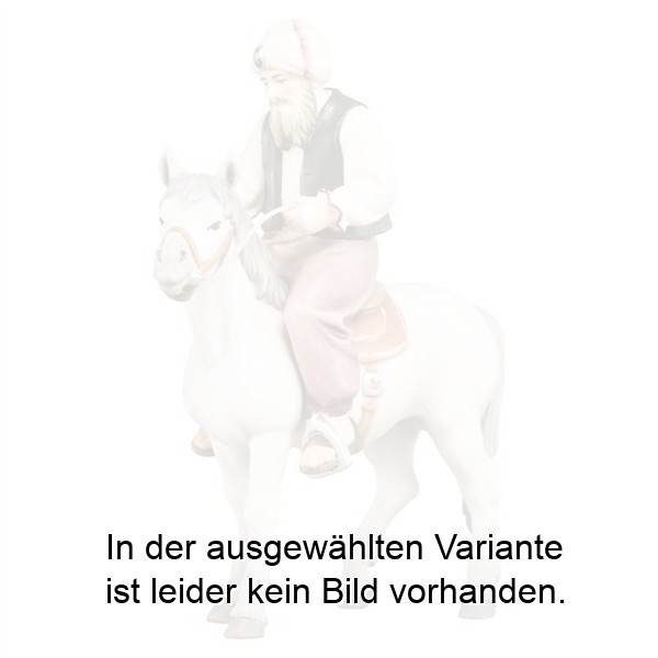 Reiter mit Pferd Reiter mit Pferd