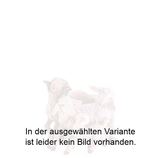 Viererschafgruppe Viererschafgruppe