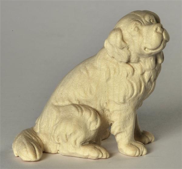 Berner Sennenhund sitzend Berner Sennenhund sitzend