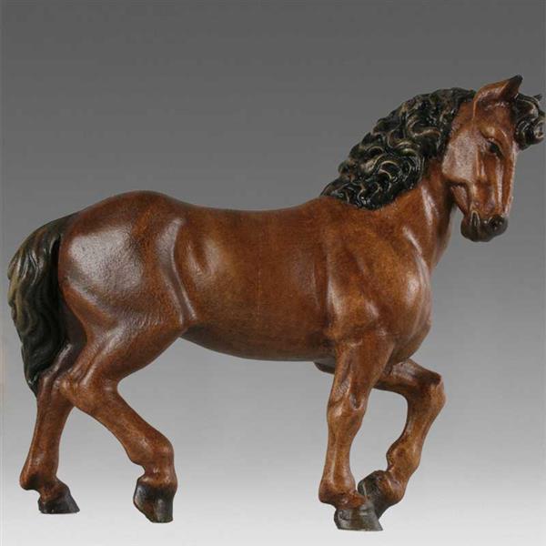 Pferd braun Pferd braun