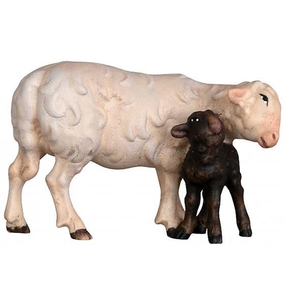 Schaf mit schwarzem Lamm Schaf mit schwarzem Lamm