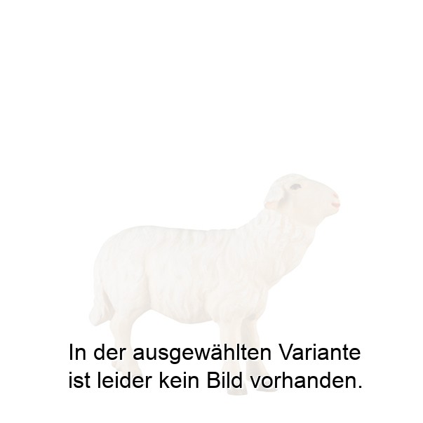 Schaf zu Fütterer links