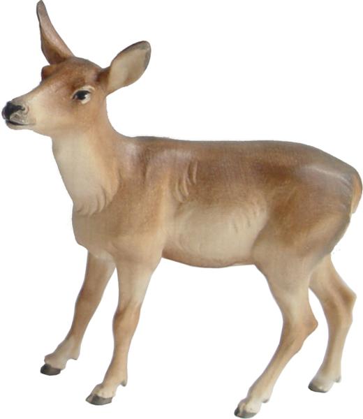 Hirschkuh