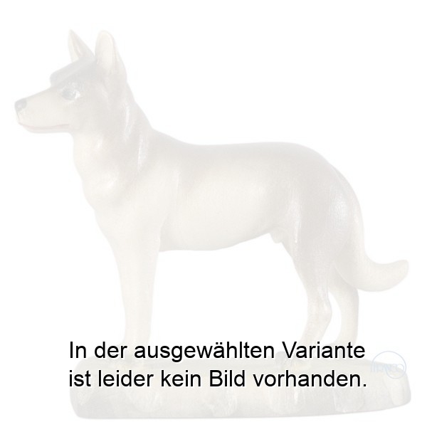 Hund