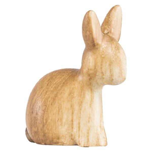 Hase