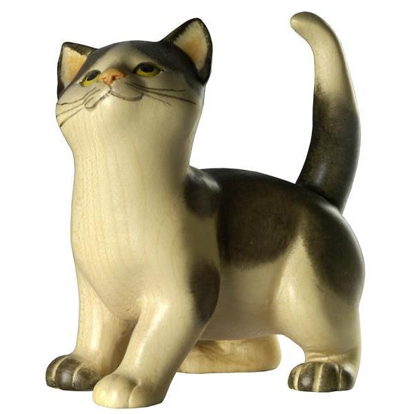 Katze stehend schwarz-weiß Katze stehend schwarz-weiß