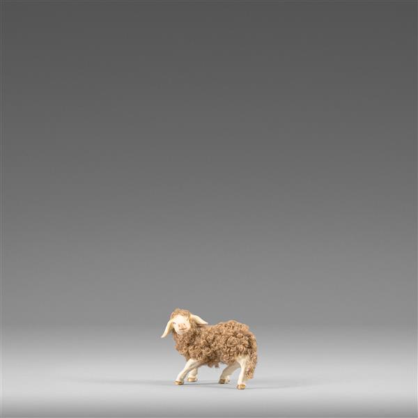 Lamm links schauend mit Wolle braun Lamm links schauend mit Wolle braun