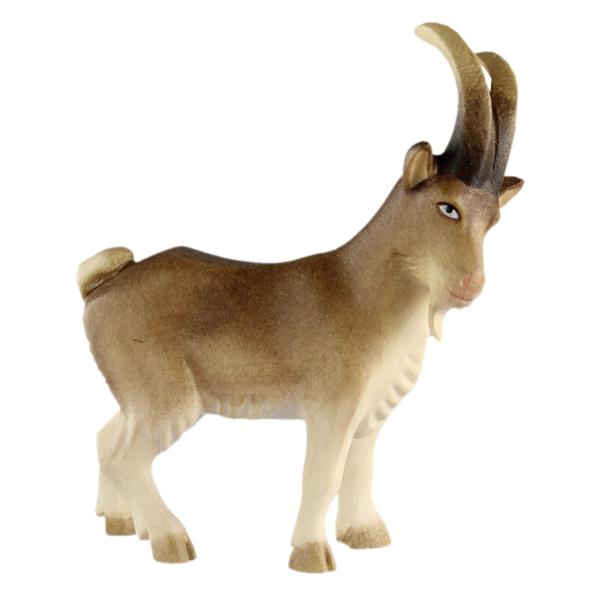 Ziegenbock Ziegenbock