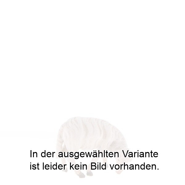 Schaf fressend Schaf fressend