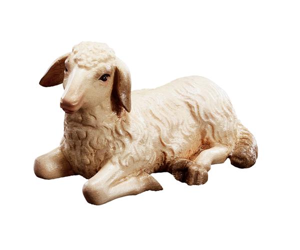 Schaf liegend Schaf liegend