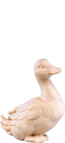 Ente Artis grün
