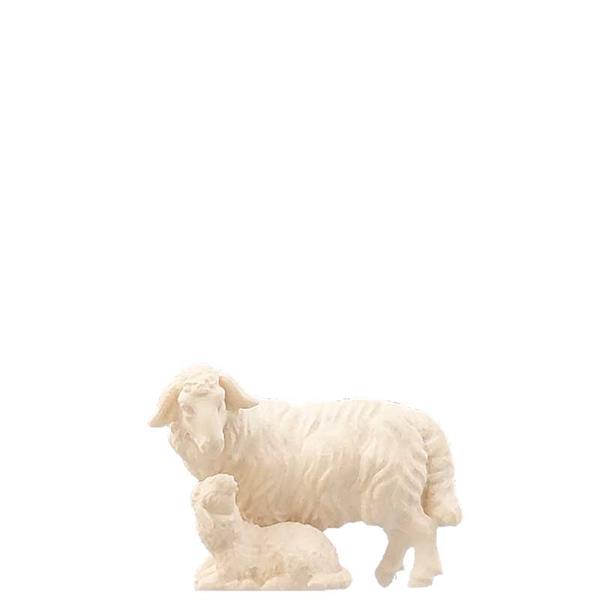 Schaf mit Lamm Schaf mit Lamm