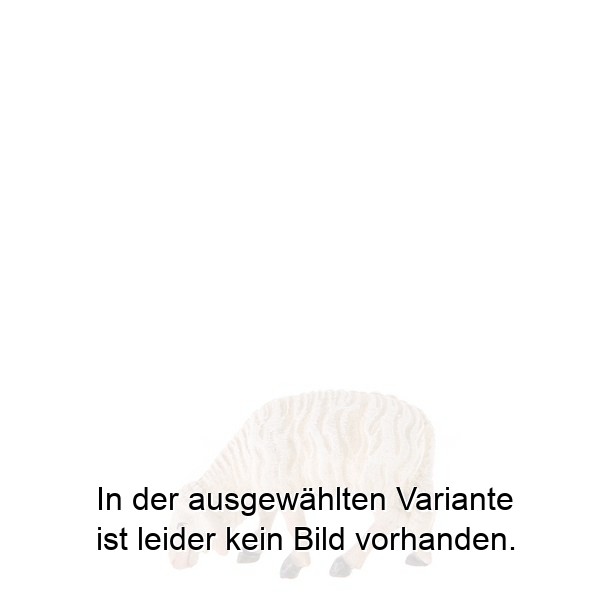 Schaf fressend Schaf fressend