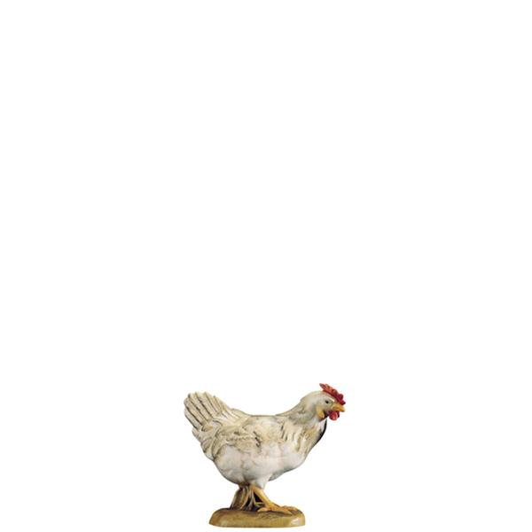 Henne stehend weiß