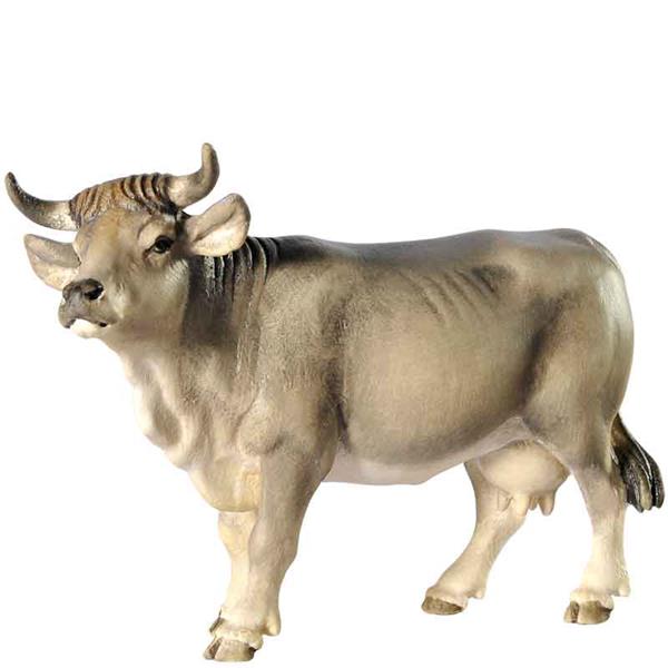 Kuh - Kopf oben grau Kuh - Kopf oben grau