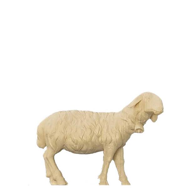 Schaf mit Glocke