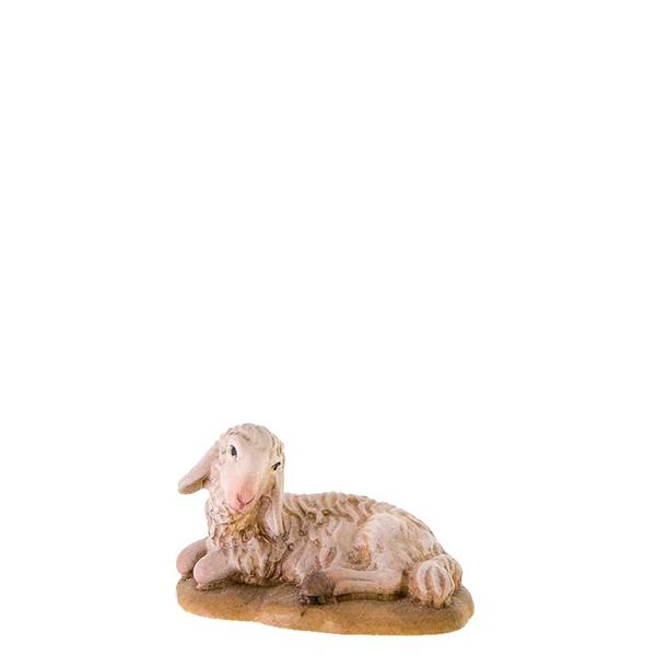 Schaf liegend Schaf liegend