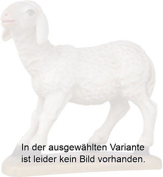 Schaf stehend Schaf stehend