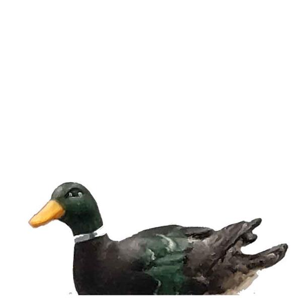 Ente schwimmend - Kopf links grün
