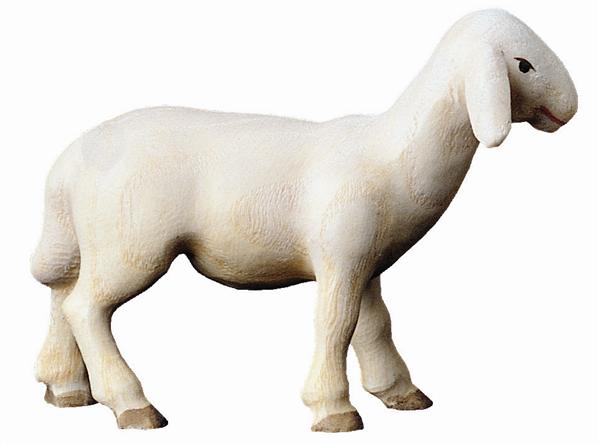 Schaf stehend 'M' Schaf stehend 'M'