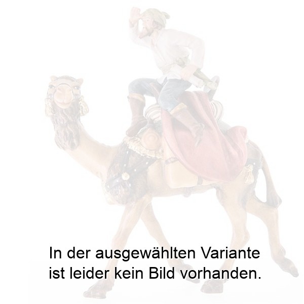 Kamel mit Reiter Kamel mit Reiter