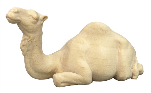 Kamel liegend Kamel liegend