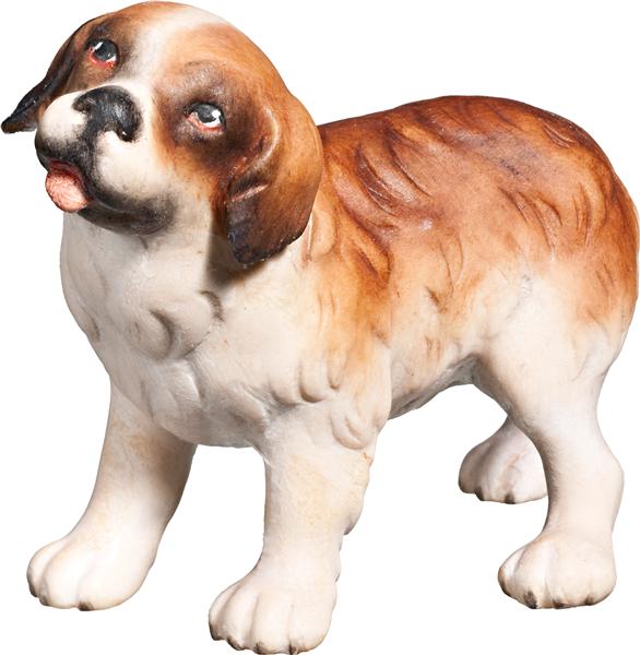 Bernhardiner Welpe Bernhardiner Welpe