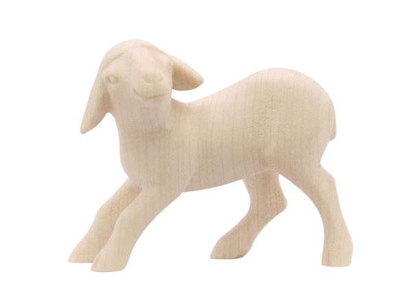 Lamm stehend Lamm stehend