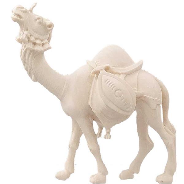 Kamel mit Gepäck Kamel mit Gepäck