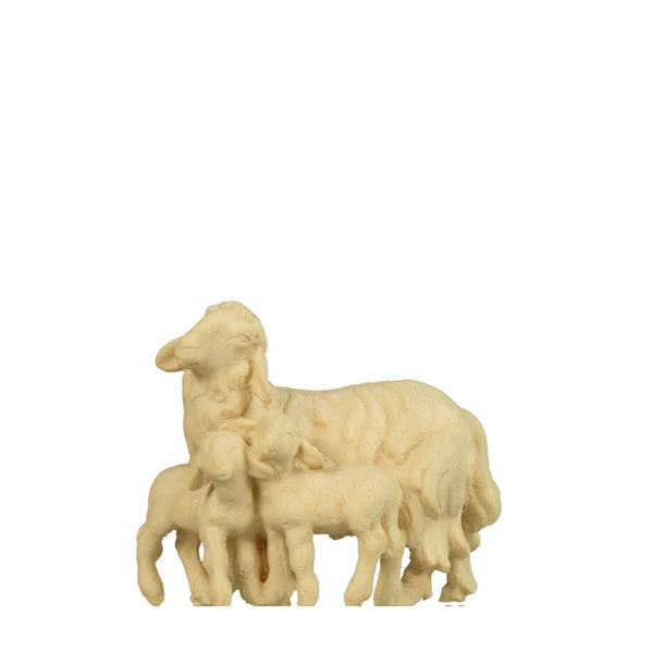 Schaf mit 2 Lämmer Schaf mit 2 Lämmer