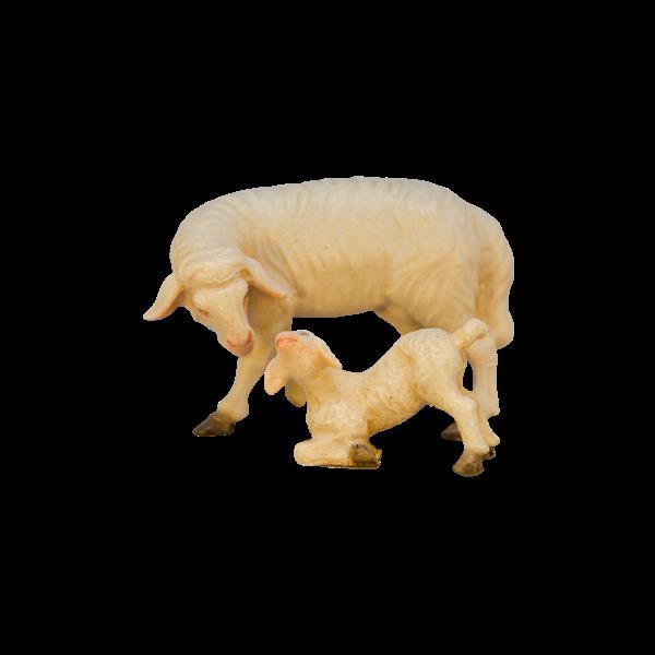 Schaf mit Lamm Schaf mit Lamm