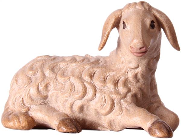 Schaf liegend Schaf liegend