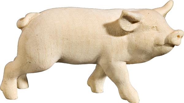 Ferkel Ferkel
