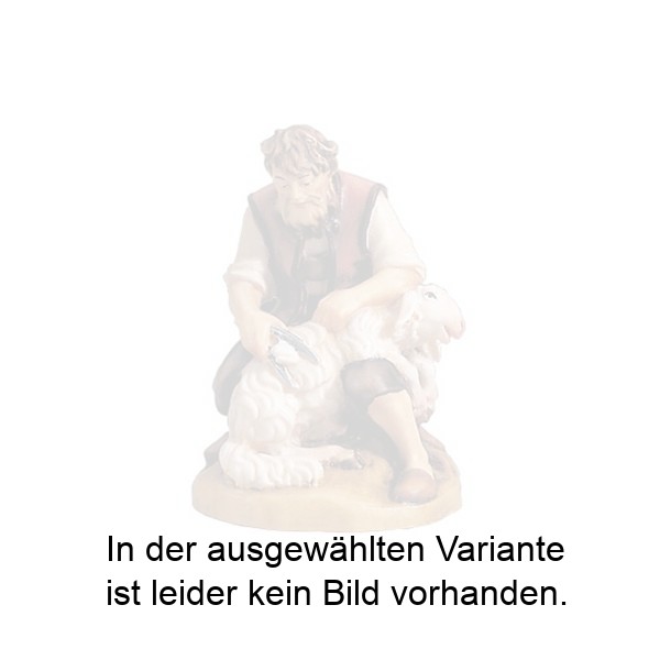 Scherer Scherer